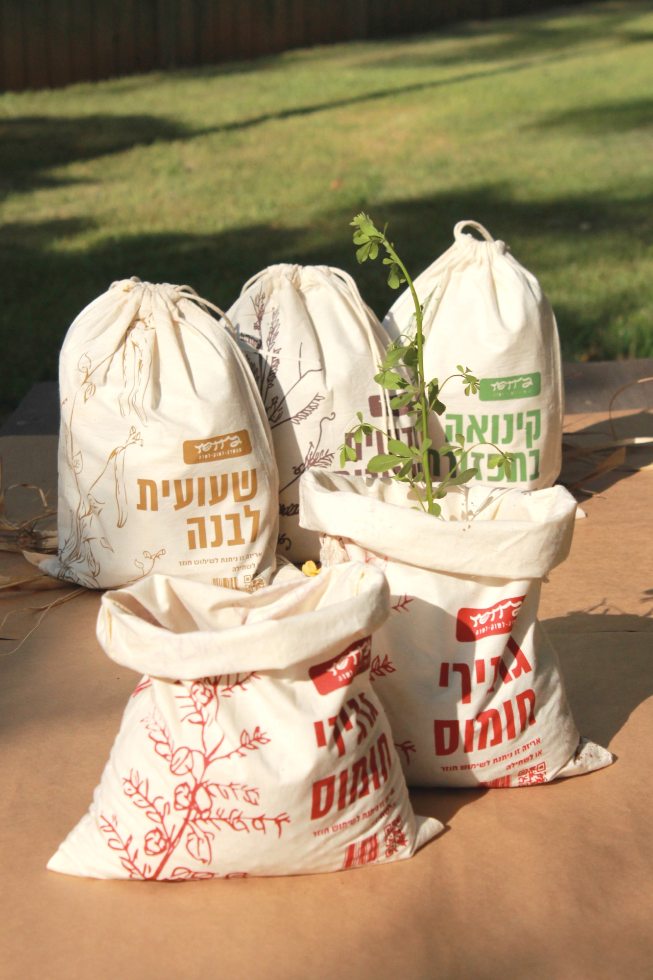 Terra sacks on the grass; a seedling grows out of one