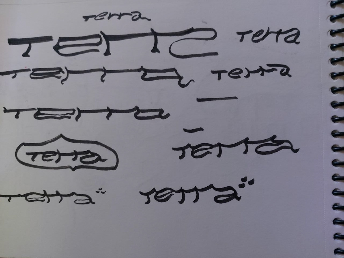 Sketchbook page: many hand-drawn versions of the Terra logo